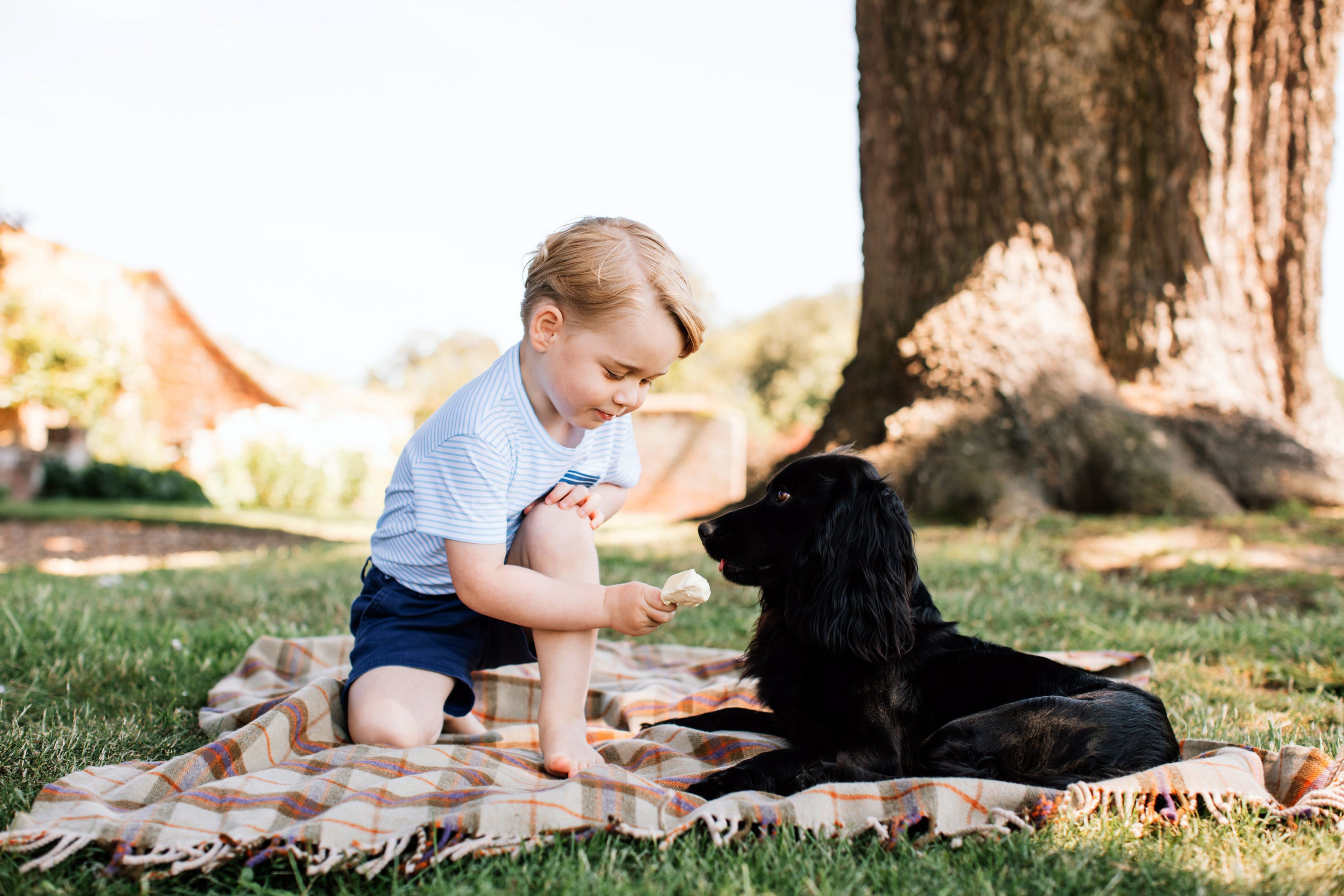Ο πρίγκιπας Γεώργιος ταΐζει τον σκύλο του παγωτό και η RSPCA προειδοποιεί