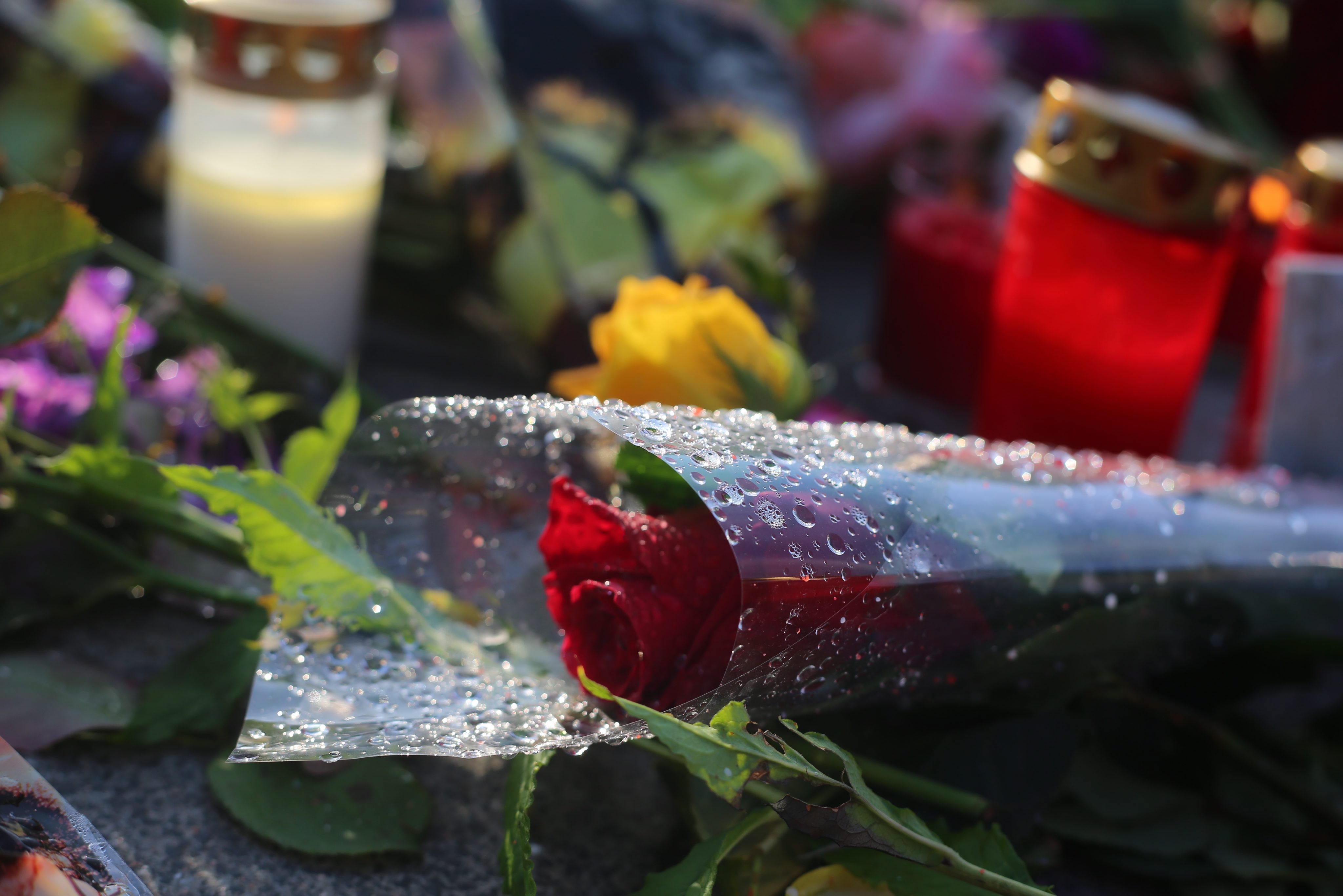 Προς αυστηρότερο νομικό πλαίσιο για τα όπλα μετά το σοκ στο Μόναχο