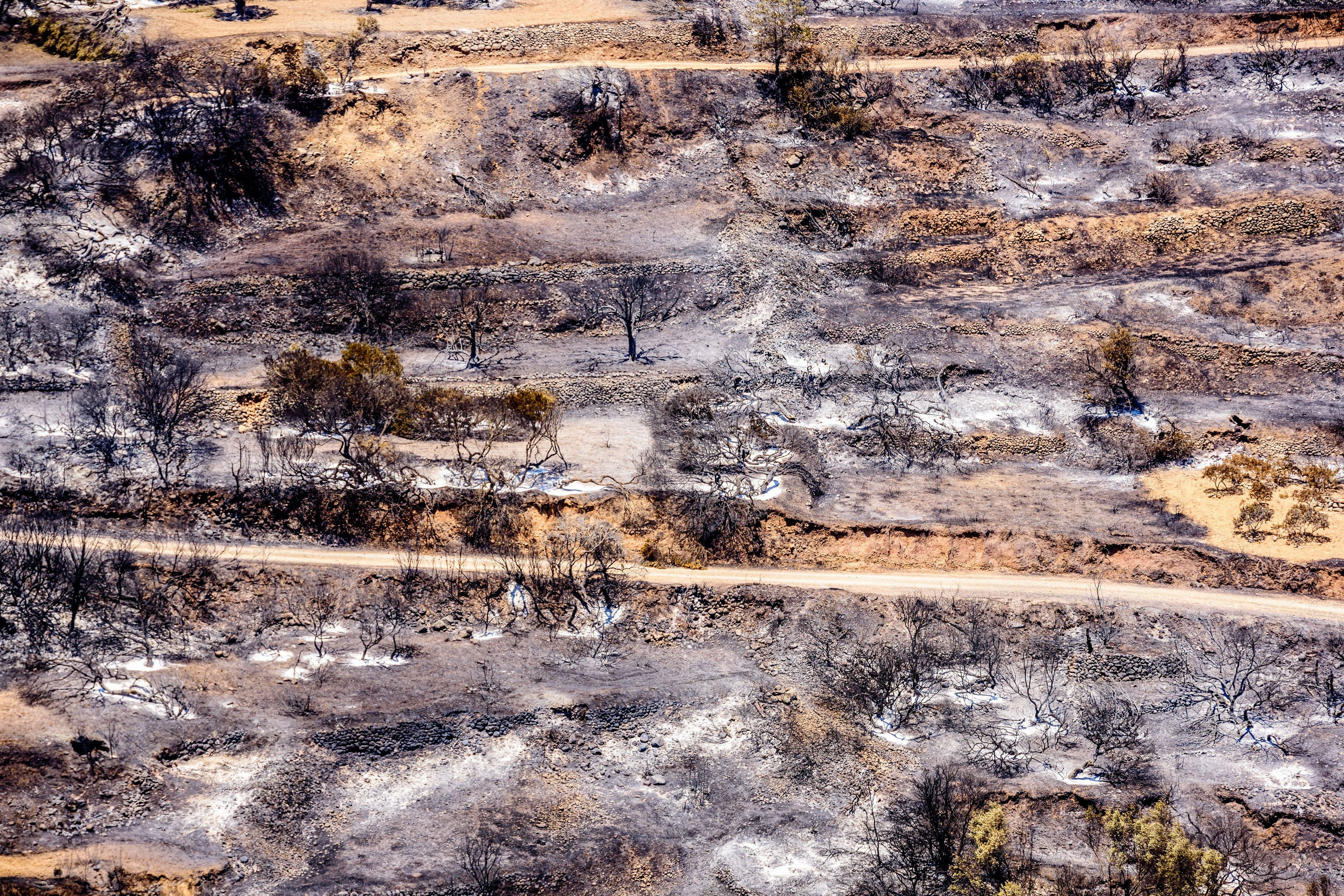 Διπλάσιες οι καταστροφές από φωτιές το φετινό καλοκαίρι