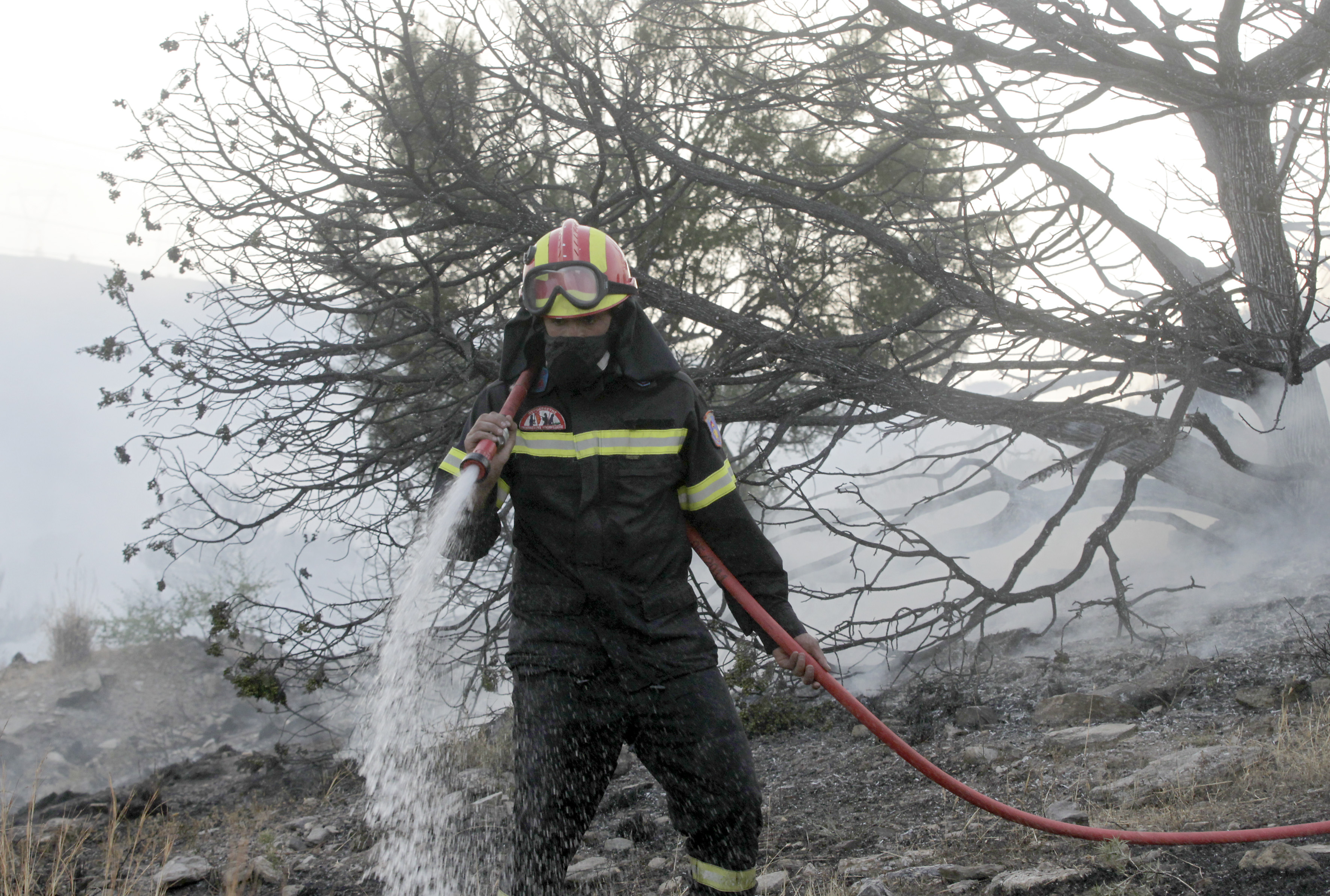 Σε ύφεση η φωτιά στην Ζάκυνθο, υπό έλεγχο τα μέτωπα στην Κέρκυρα