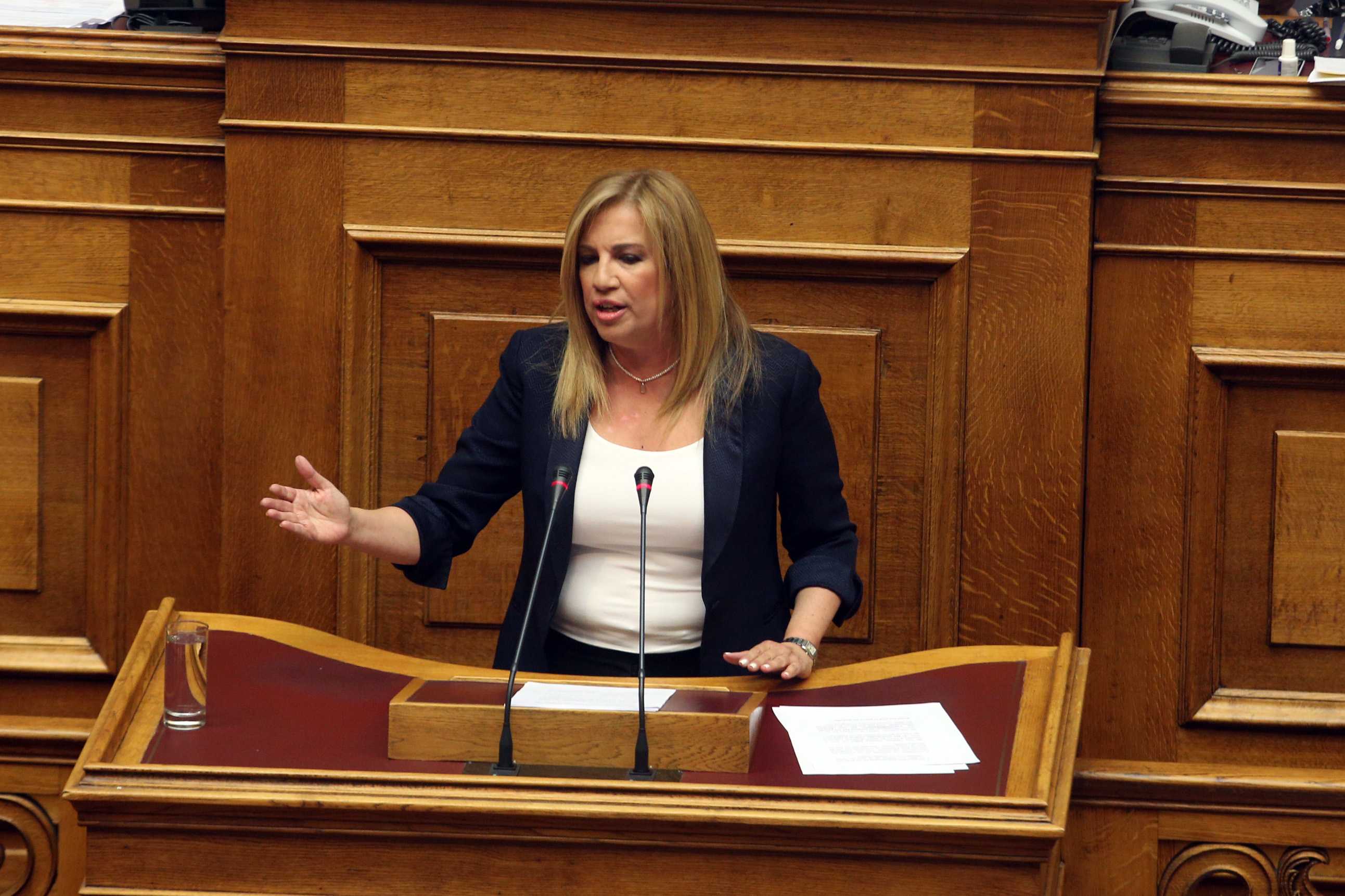 Γεννηματά: Τέλος Αυγούστου οι τελικές συζητήσεις για την Κεντροαριστερά