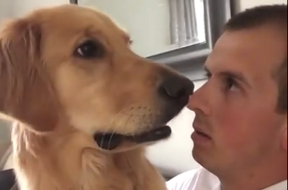 Ο σκύλος μαθαίνει τα «ευχάριστα» για το νέο μέλος της οικογένειας