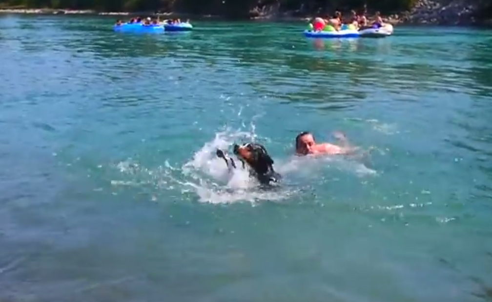 Τετράποδος λανσάρει μοναδικό κολυμβητικό στυλ