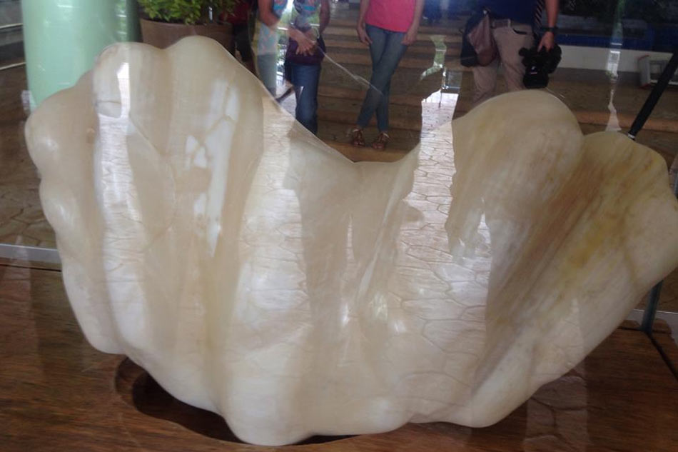 Στις Φιλιππίνες βρέθηκε «το μεγαλύτερο μαργαριτάρι του κόσμου»