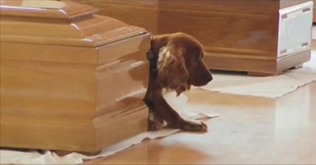 Το «Χάτσικο» της Ιταλίας που αρνείται να αφήσει το φέρετρο του αφεντικού του