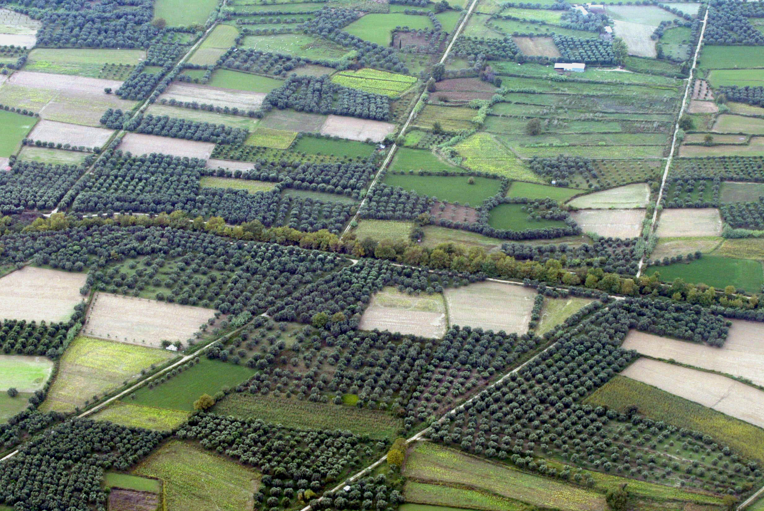 Νέο Ε9 για τα αγροτεμάχια στις αρχές του 2017