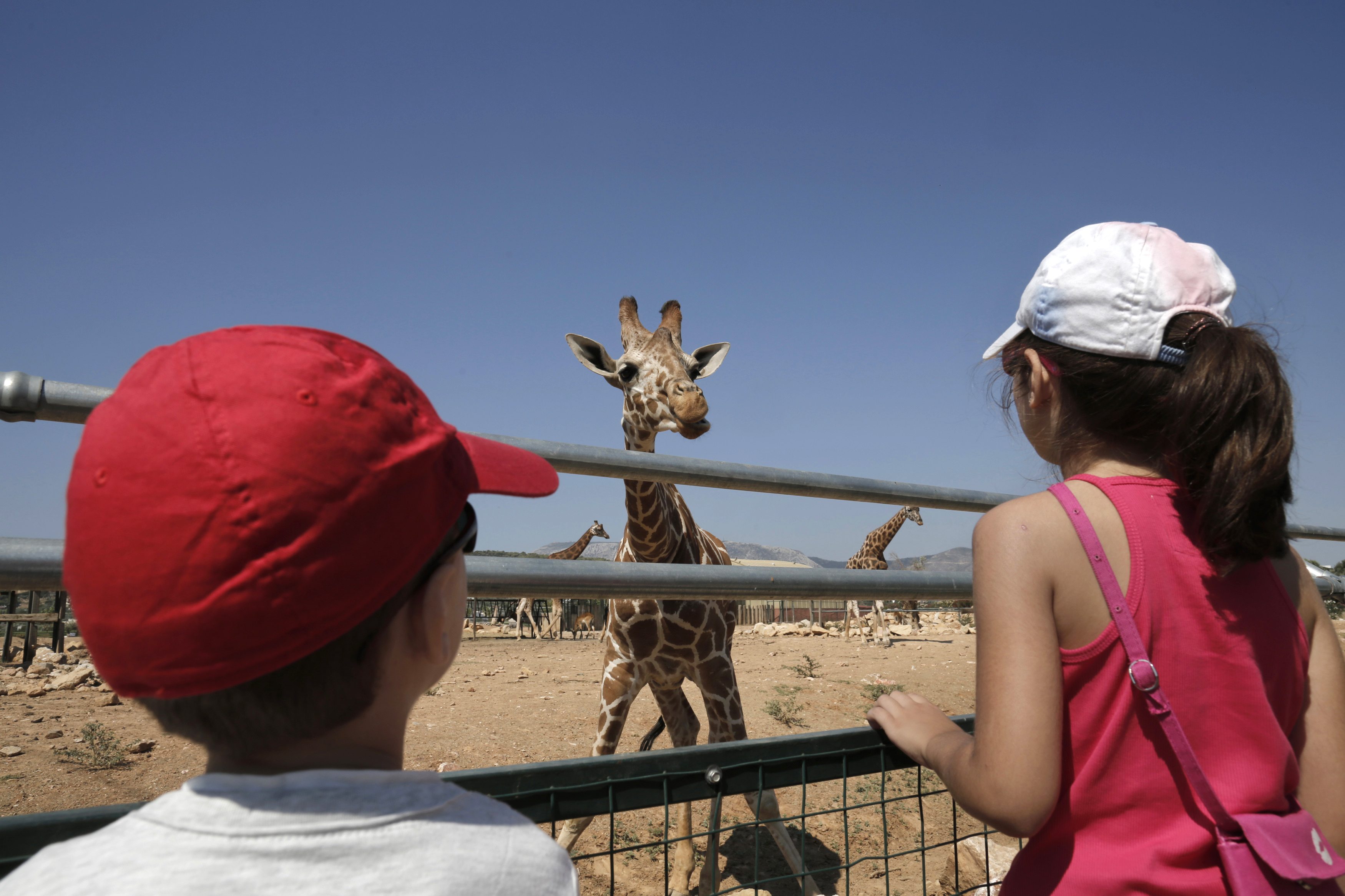 Ληστεία στο Αττικό Ζωολογικό Πάρκο στα Σπάτα