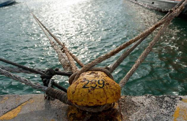 Στο λιμάνι της Άνδρου προσέκρουσε το «Super Ferry ΙΙ»