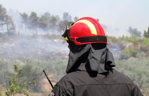 Επί ποδός και τη νύχτα η Πυροσβεστική στη Θάσο – Μαίνεται η μεγάλη πυρκαγιά