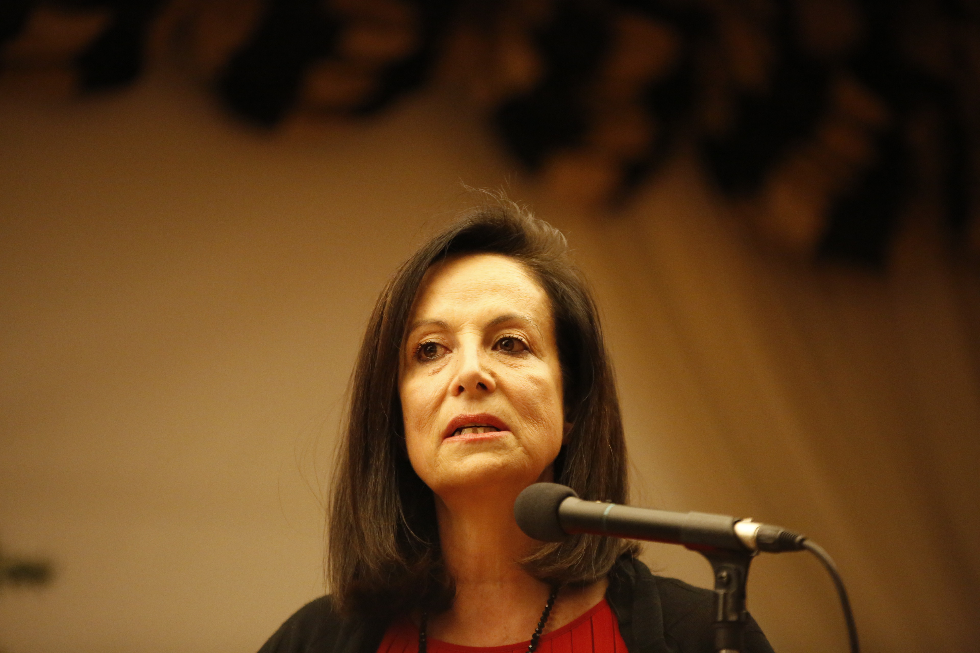 Διαμαντοπούλου: Ο Σημίτης θα ήταν ενδεδειγμένος Πρόεδρος το 2019