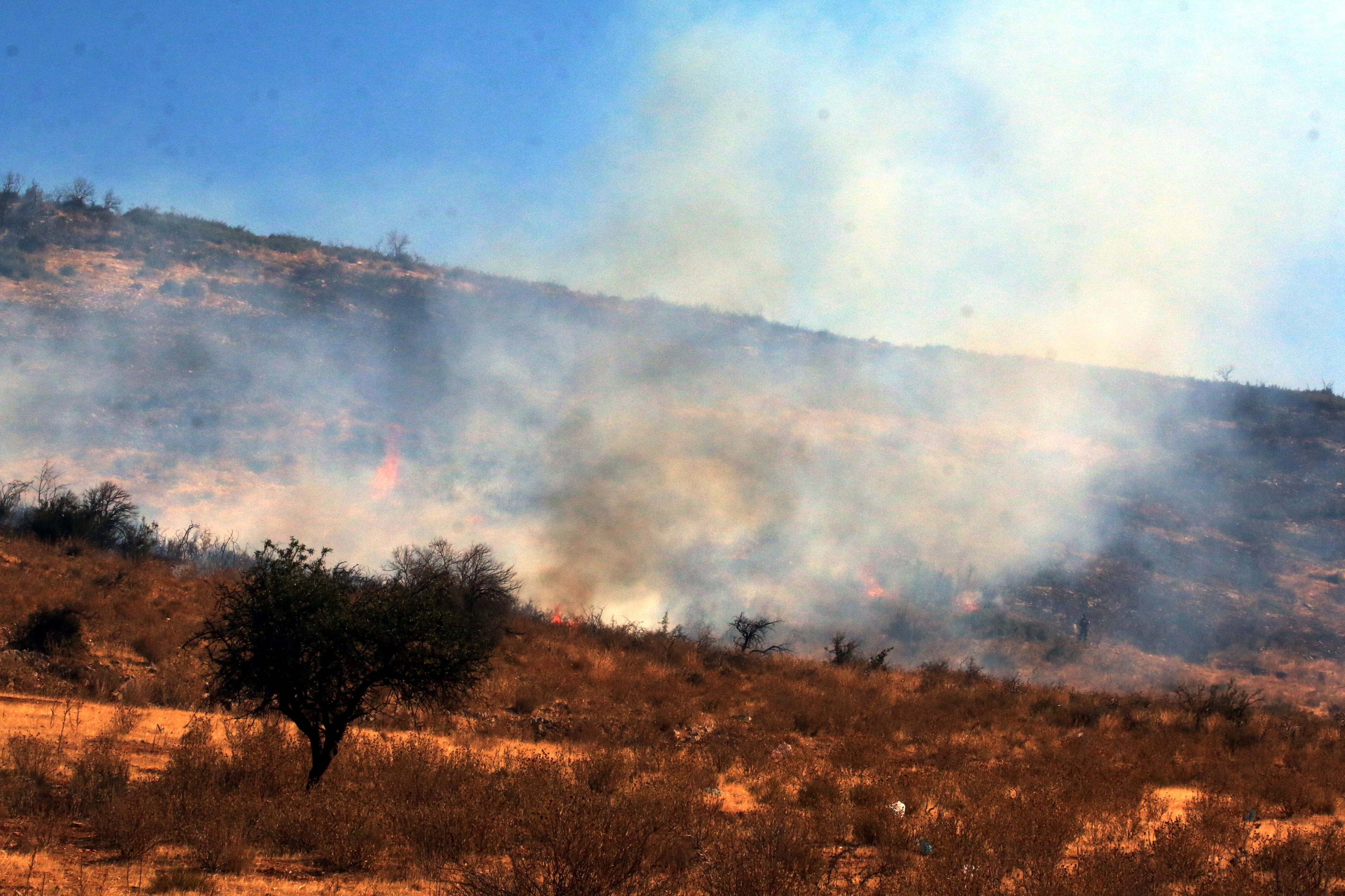 Στις φλόγες δάση σε Ζάκυνθο και Πάργα