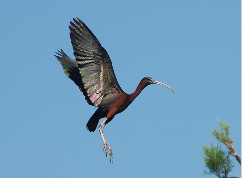 Διαδικτυακό «Ταξίδι στον Αξιό» από μεταπτυχιακή φοιτήτρια
