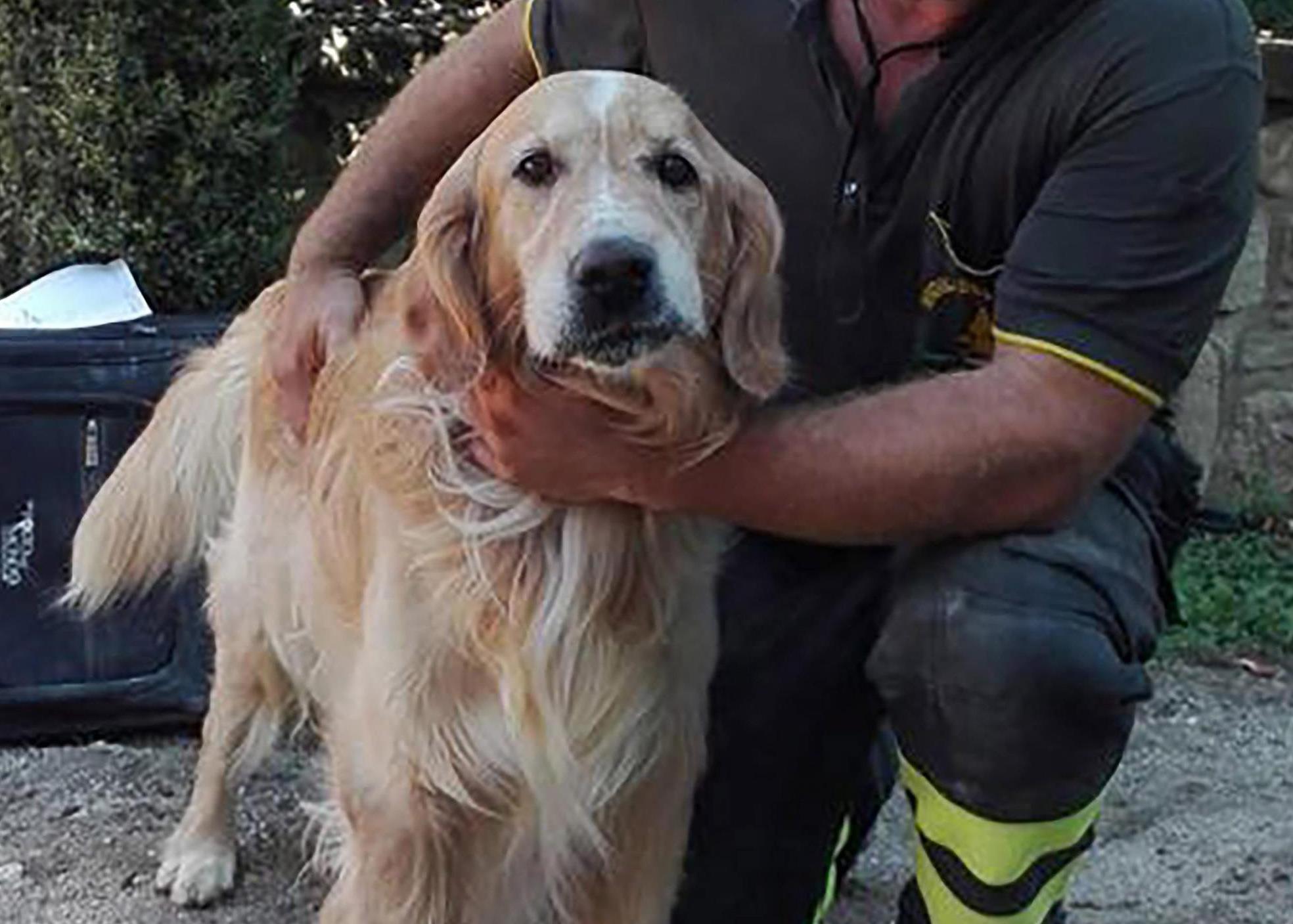 Ο Ρομέο πέρασε εννέα μέρες στα συντρίμμια του σεισμού και βγήκε ζωντανός