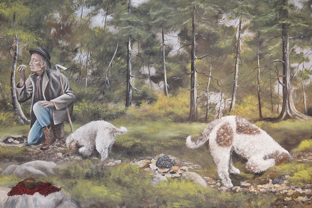 Νέα πτέρυγα απέκτησε το Μουσείο Φυσικής Ιστορίας Μετεώρων