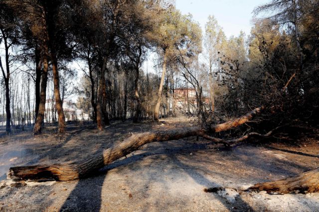 Πυρκαγιά στη Βαλένθια, απομακρύνθηκαν 1.400 κάτοικοι και τουρίστες