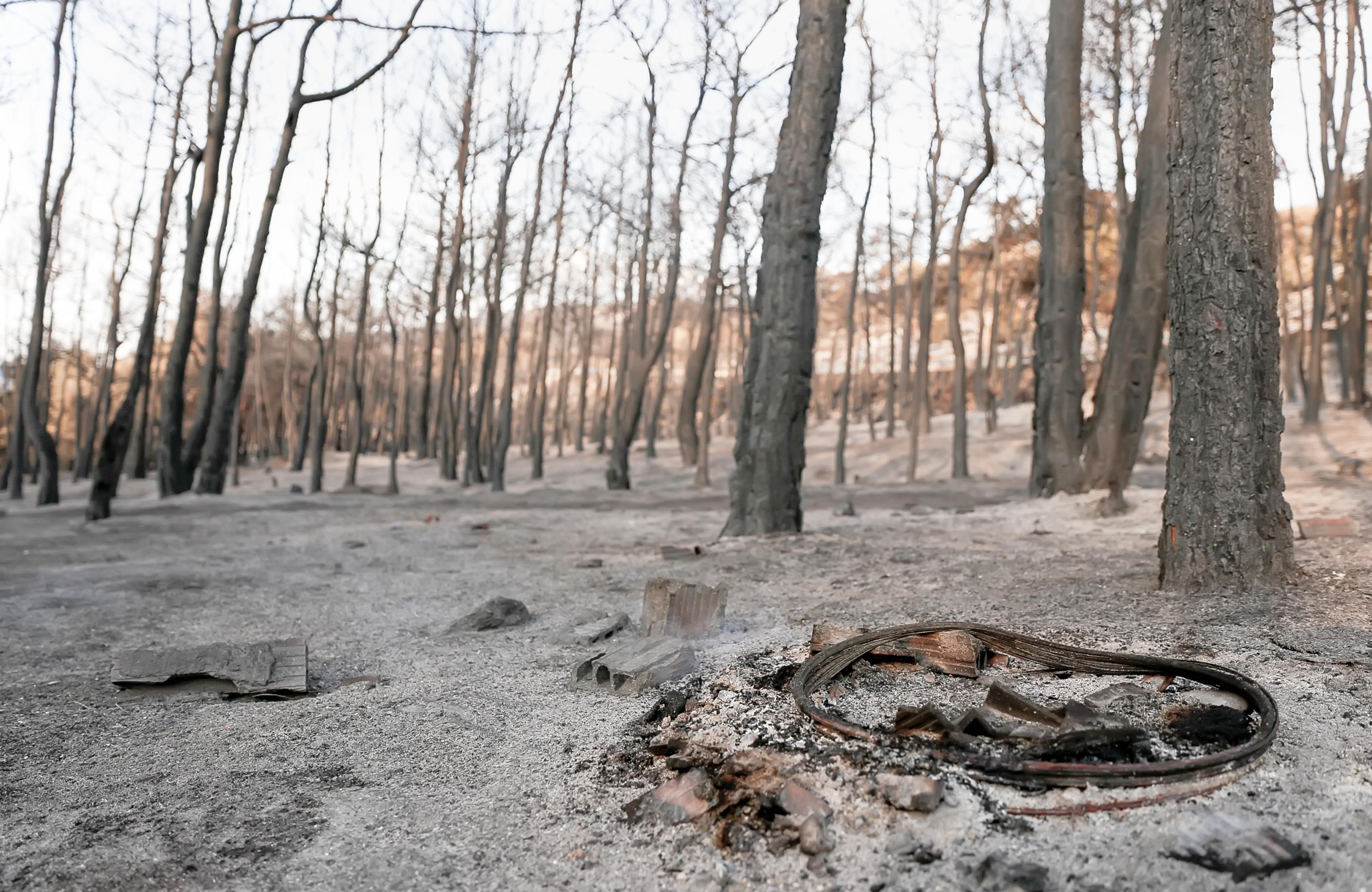 Ξεκίνησε η καταγραφή ζημιών στη Θάσο μετά τη μεγάλη φωτιά