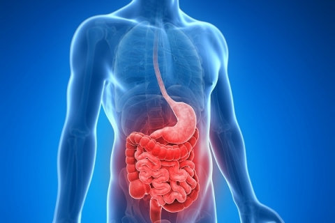 Ελπίδες πρόληψης ή αναστροφής της ίνωσης στη νόσο του Crohn