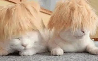 Το Twitter κάνει πάρτι με «perouka_gate»