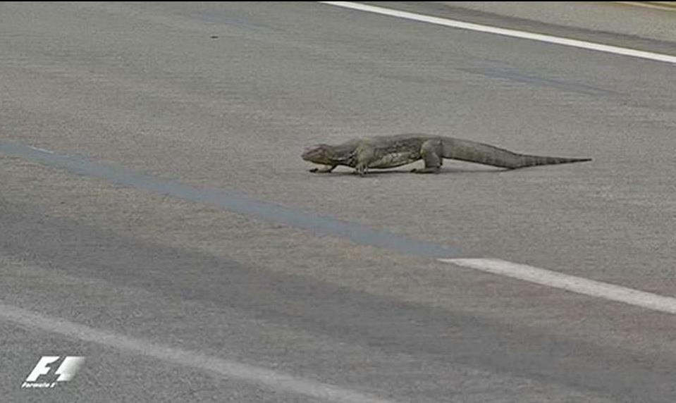 Μία γιγαντιαία σαύρα στην ίδια πίστα με τα μονοθέσια της Formula 1