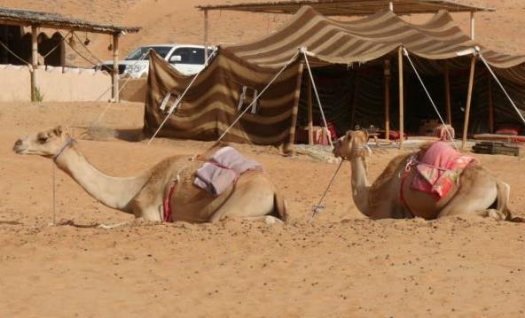 Μουντιάλ 2020: Οπαδοί θα μείνουν ακόμη και σε καταυλισμούς