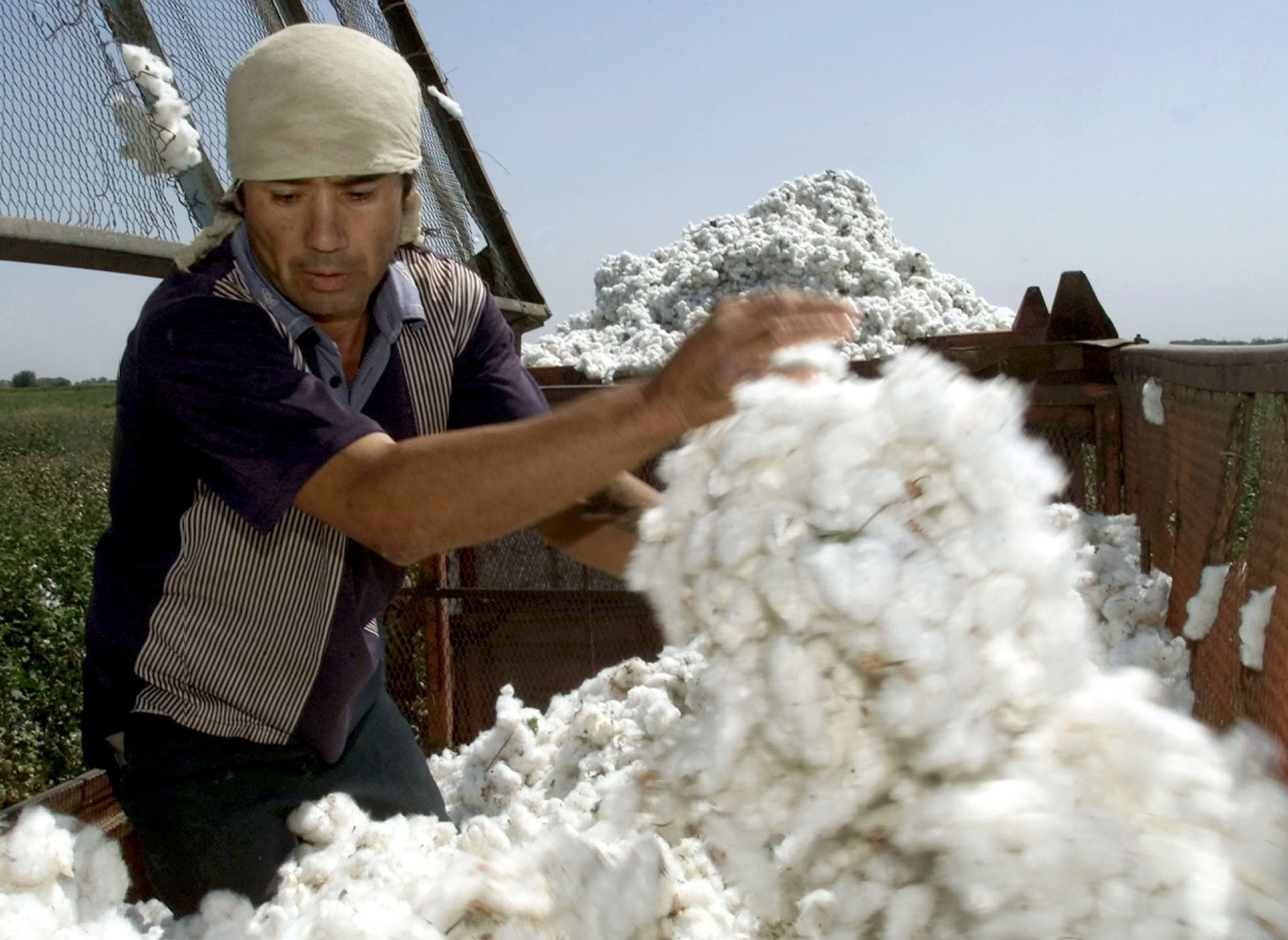 «Μαζέψτε βαμβάκι και κερδίστε πλούσια δώρα»