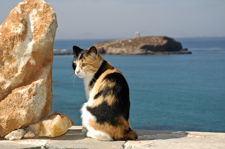 Το in.gr και ο Δημήτρης Ήμελλος σάς ταξιδεύουν στη Νάξο!