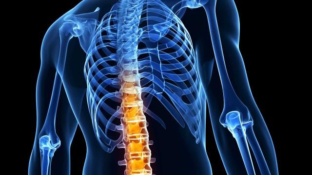 Χειροπράκτες: Ευθυτενή στάση και κίνηση για υγιή σπονδυλική στήλη