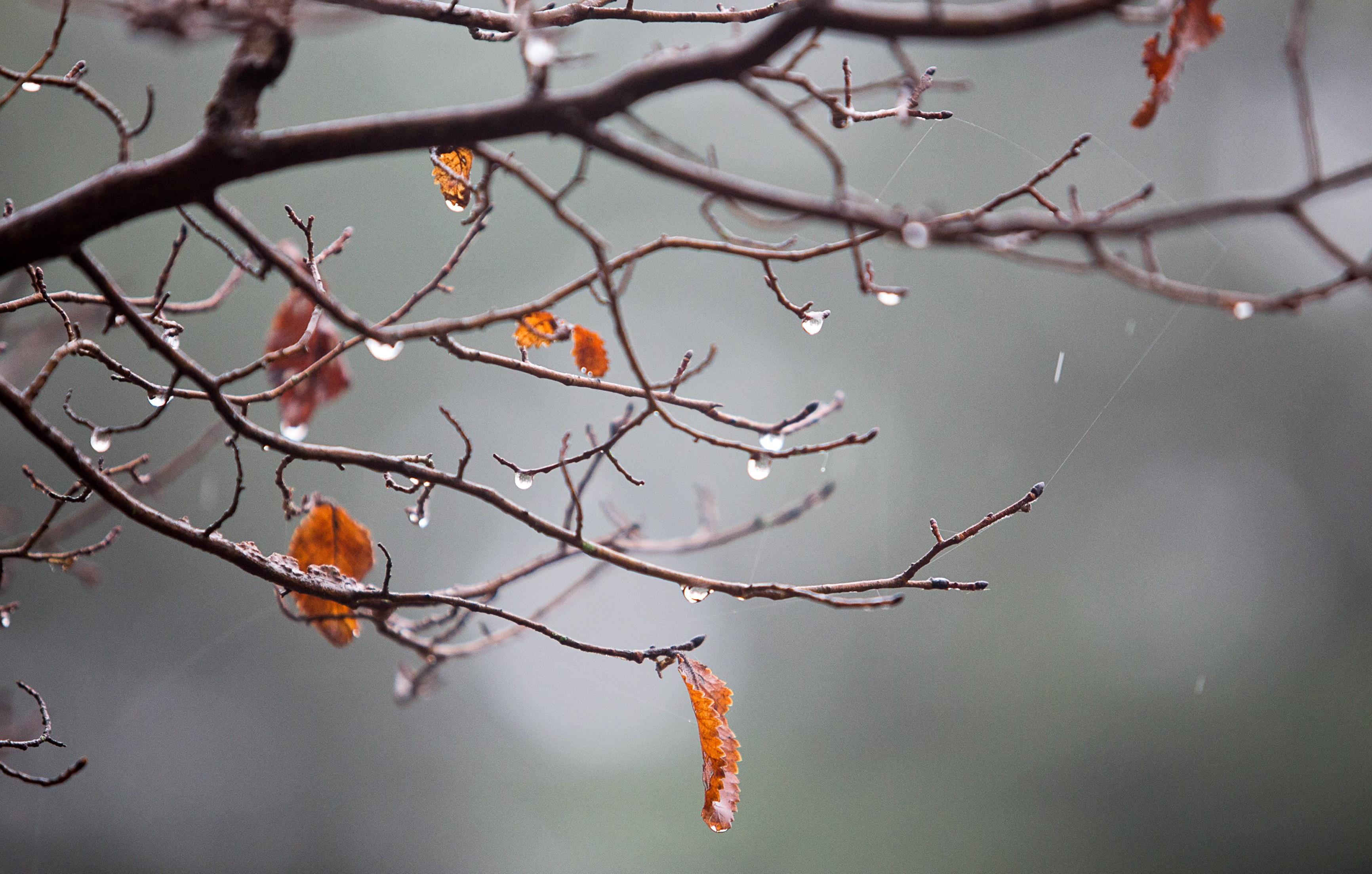 Μικρή πτώση της θερμοκρασίας με λίγες ισχυρές βροχές τις επόμενες ημέρες
