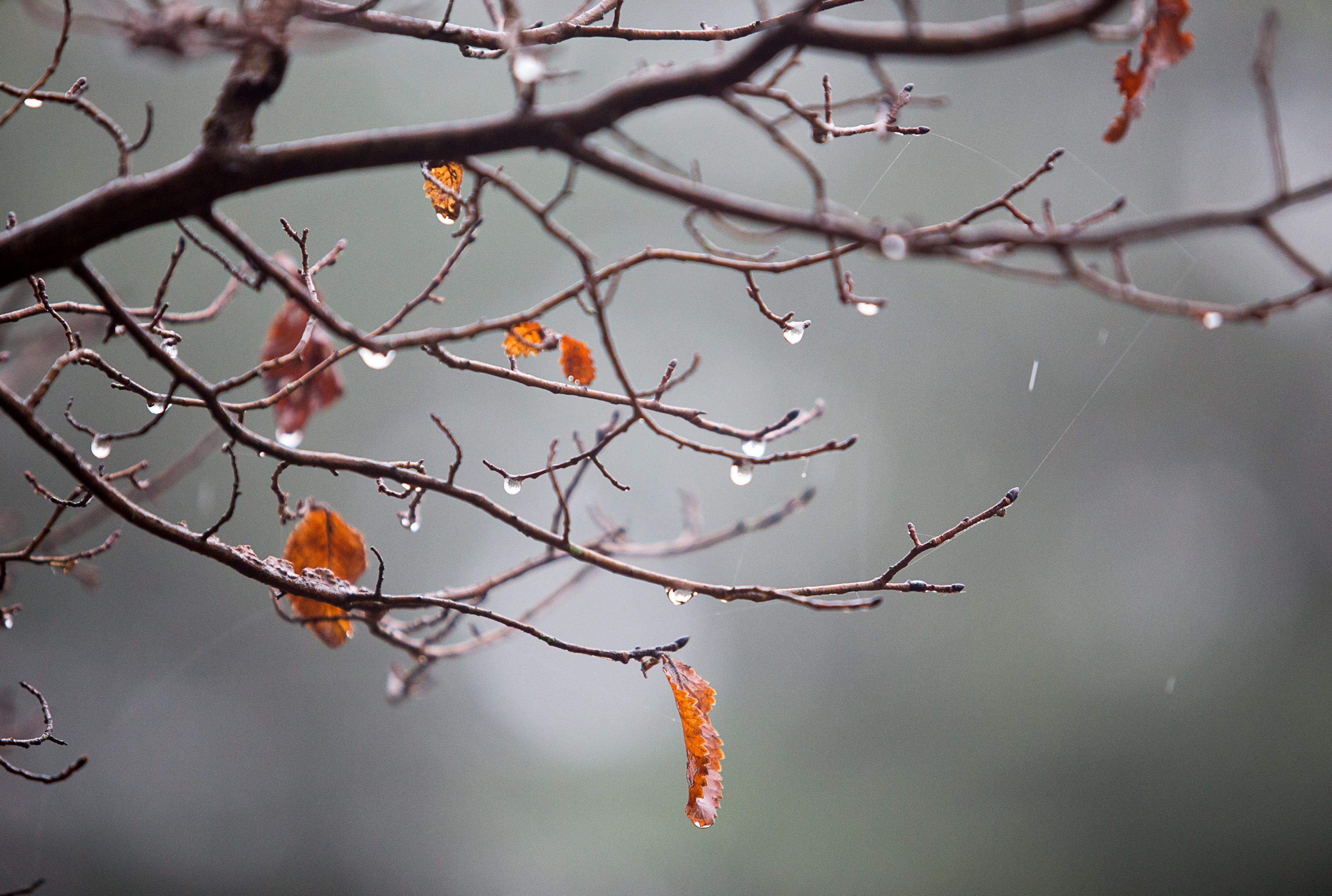 Με κρύο και βροχές το τριήμερο της 28ης Οκτωβρίου