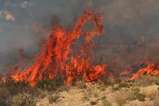Χανιά: Μεγάλη πυρκαγιά στα Φαλάσαρνα Κισάμου