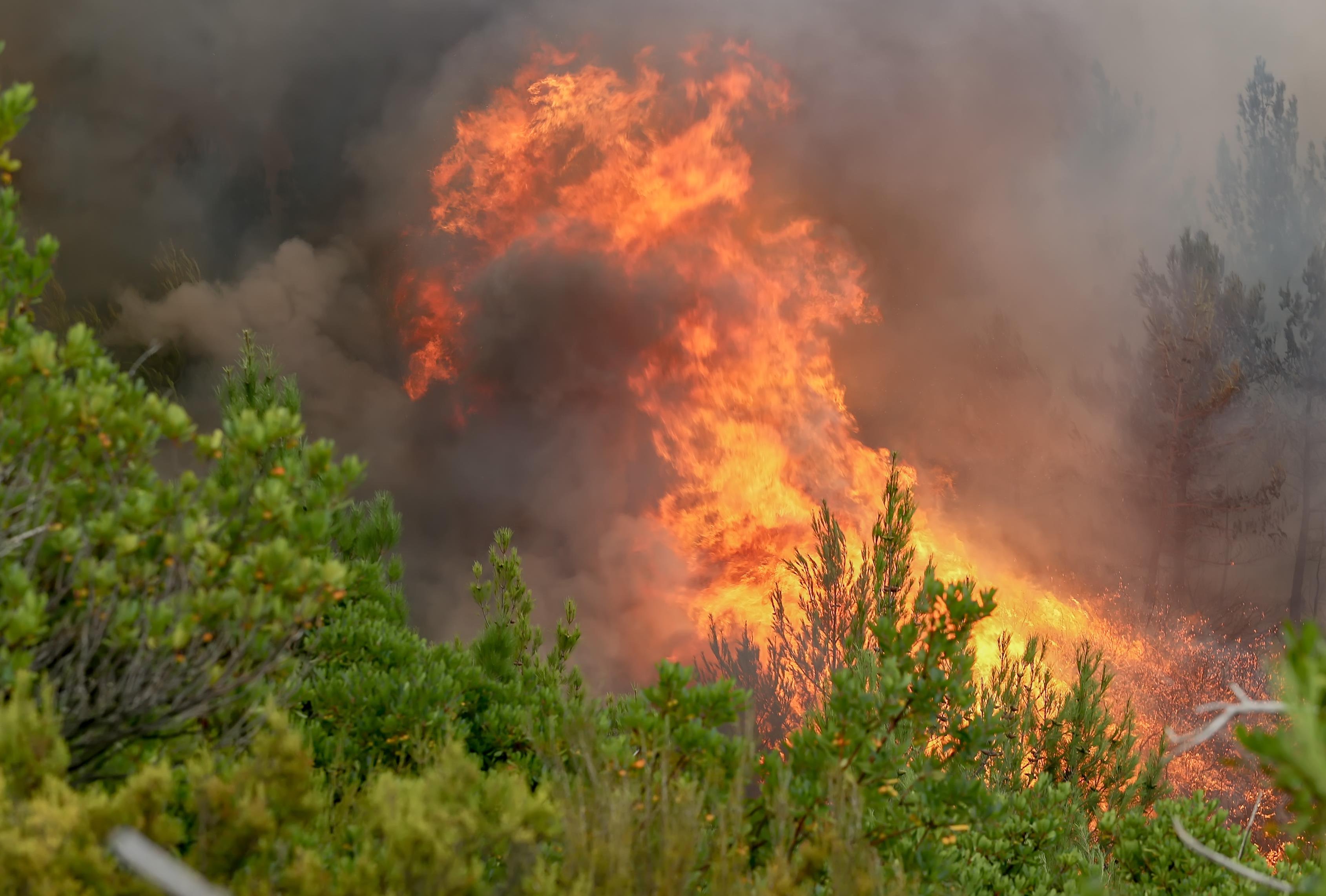 Υπό μερικό έλεγχο τέθηκε πυρκαγιά στο Πικέρμι