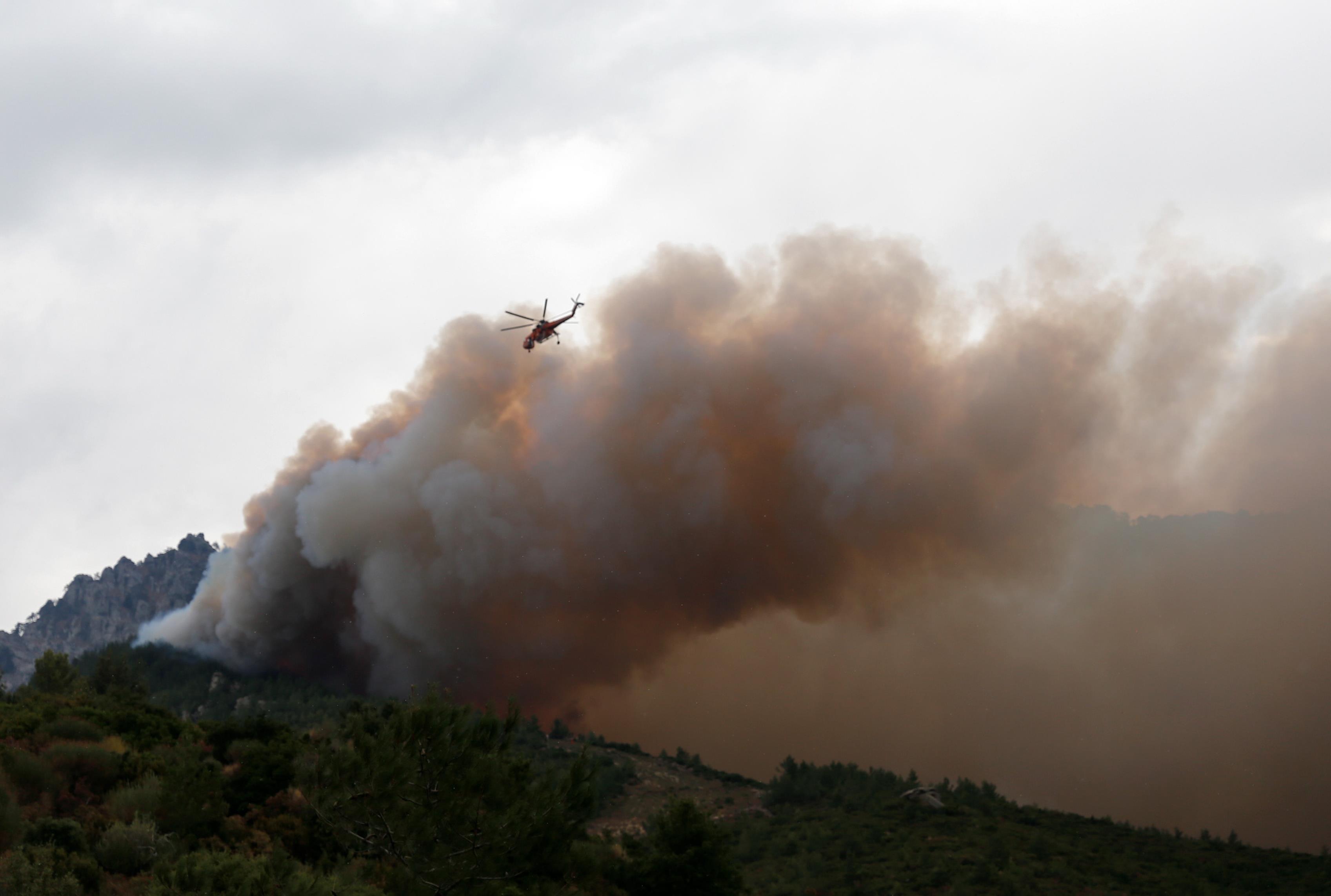 Στις φλόγες έκταση με χαμηλή βλάστηση στην Εύβοια