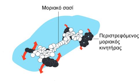 Στους μηχανολόγους του μικρόκοσμου το φετινό Νόμπελ Χημείας