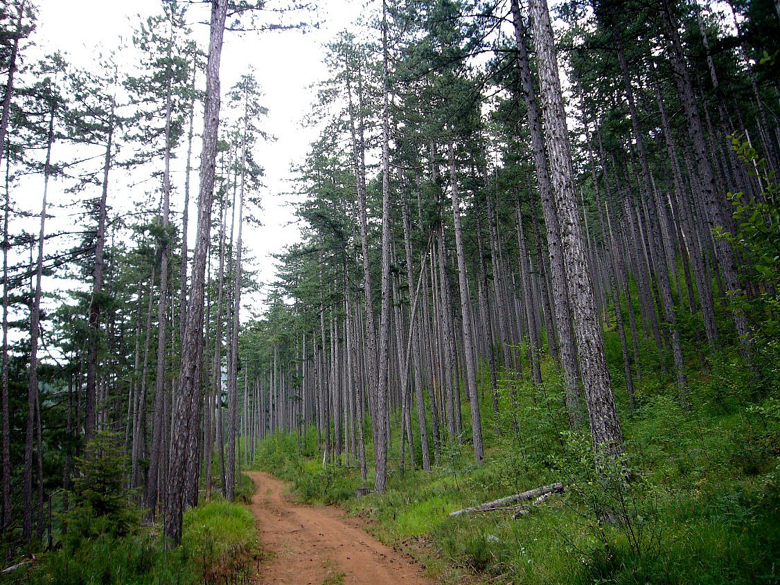 Βάλια Κάλντα, η Ζεστή Κοιλάδα της Πίνδου