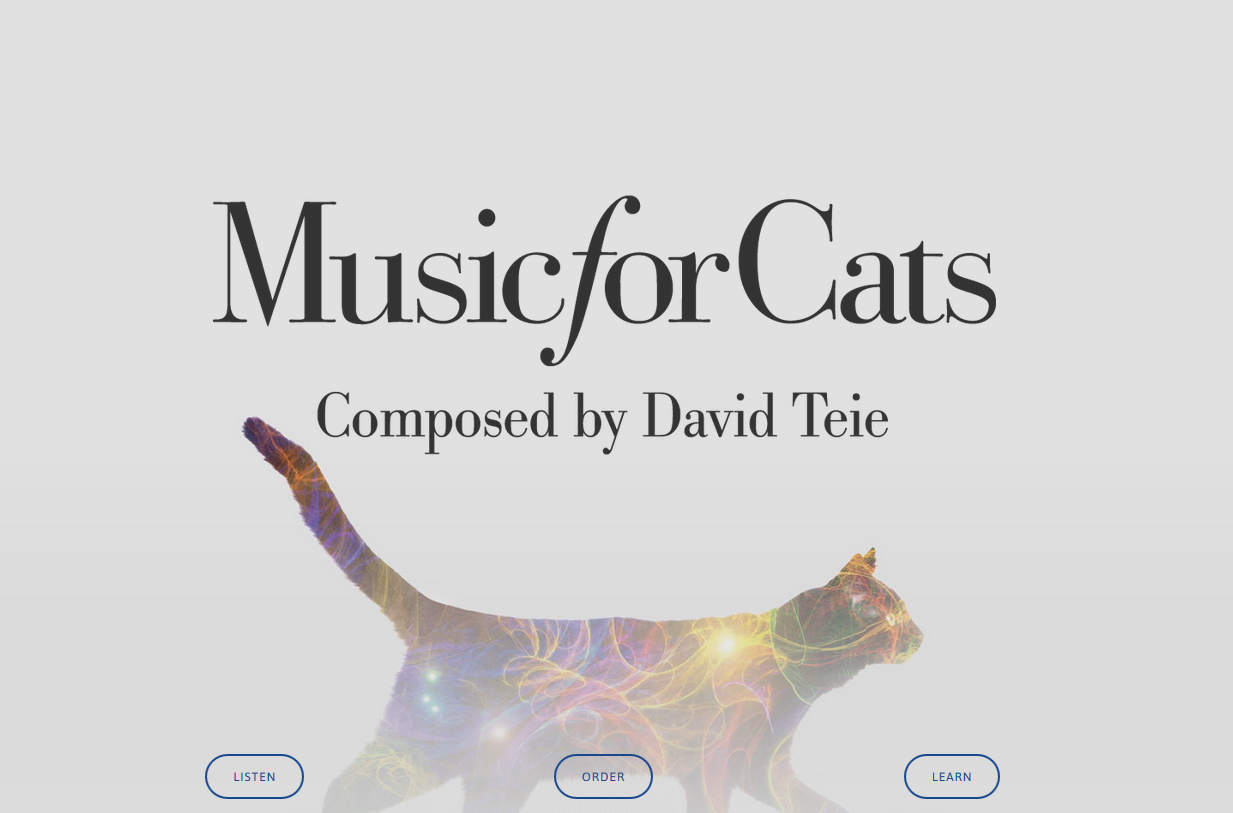 Το πρώτο μουσικό άλμπουμ για γάτες διά… χειρός βιολοντσελίστα