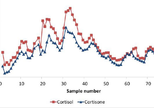 Φορητή μικροσυσκευή για την 24ωρη καταγραφή των ορμονικών μεταβολών