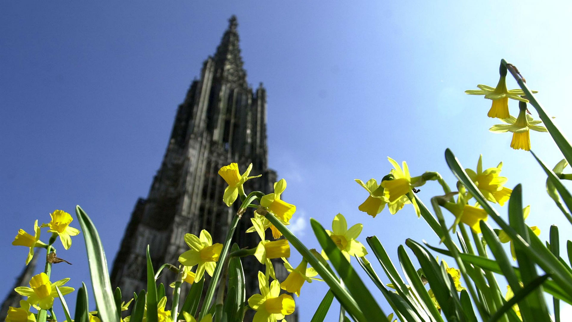 Η ανθρώπινη… ανάγκη διαβρώνει τον πανύψηλο Καθεδρικό του Ουλμ