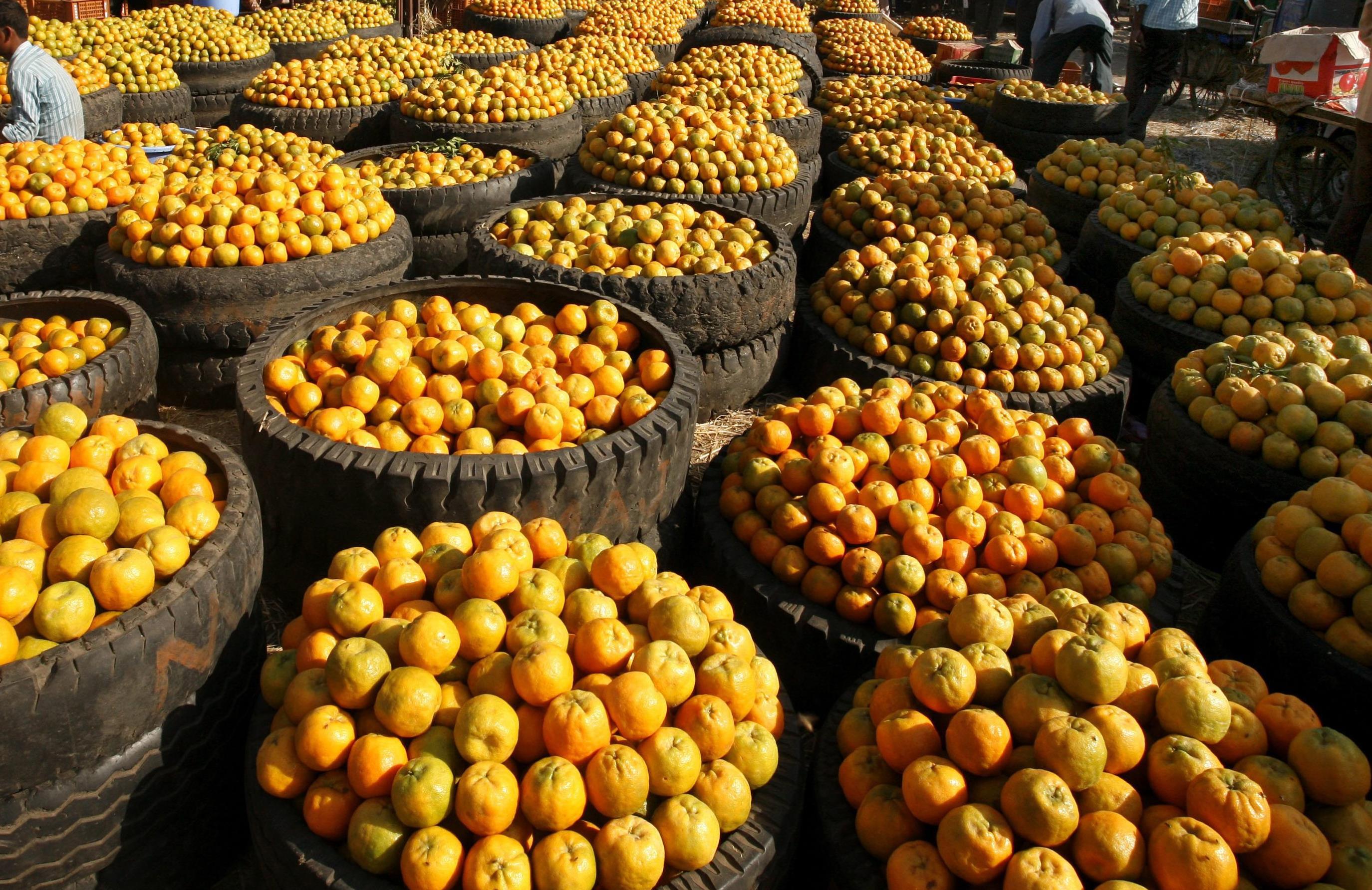 Επανεμφανίστηκε το σκορβούτο εξαιτίας των κακών διατροφικών συνηθειών