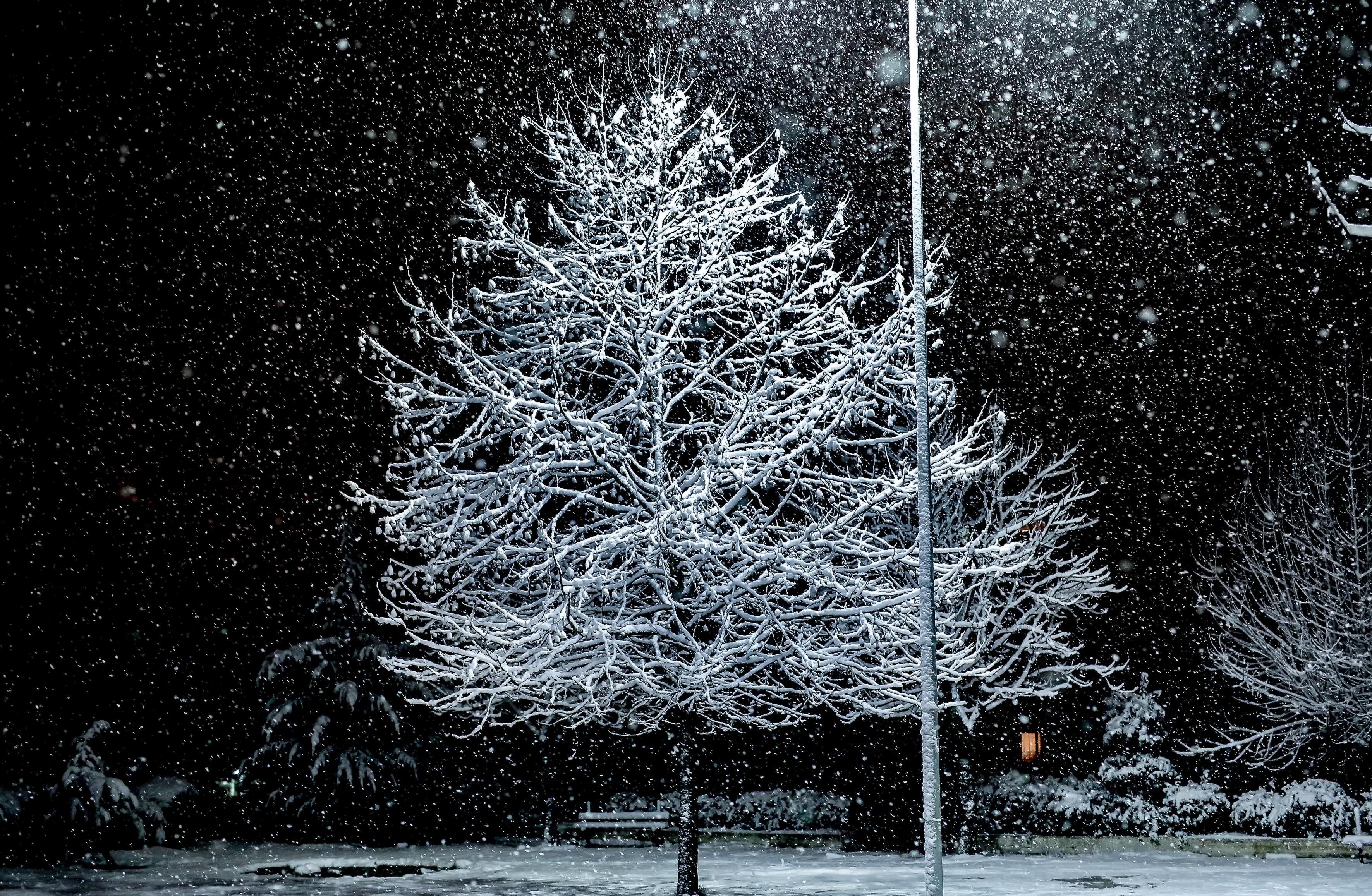 Τα πρώτα χιόνια σε περιοχές της βόρειας και κεντρικής Ελλάδας