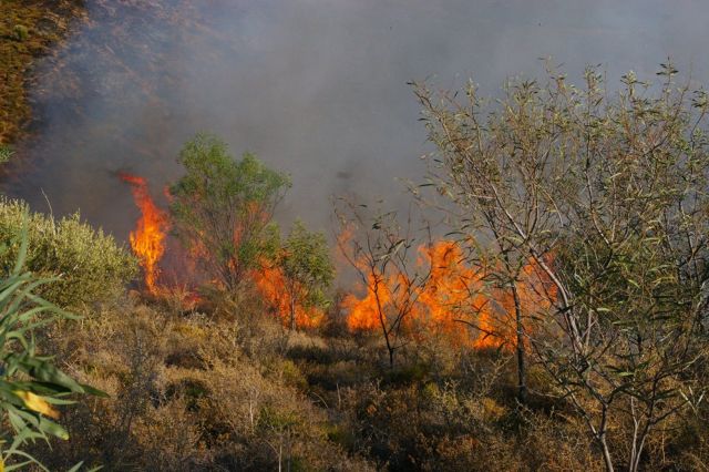 Συνεχίζει να καίει η φωτιά σε δύσβατη περιοχή στην Κάρυστο