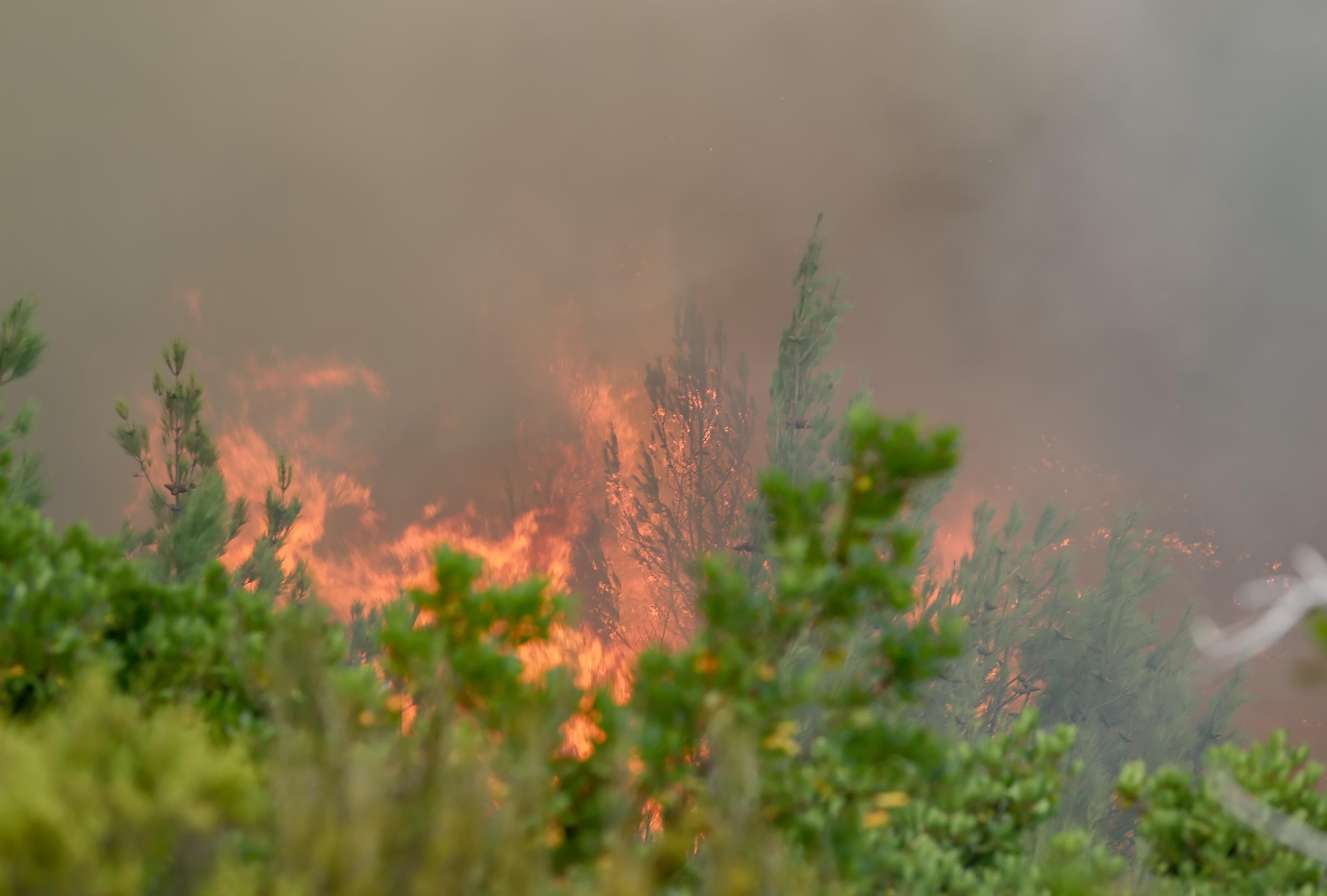 Σε εξέλιξη δύο πυρκαγιές στην Εύβοια – Επί τόπου επίγειες κι εναέριες δυνάμεις