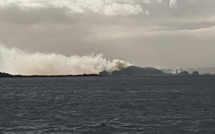 Νέα Ζηλανδία: Έκαψε ολόκληρο νησί προκειμένου να την εντοπίσουν