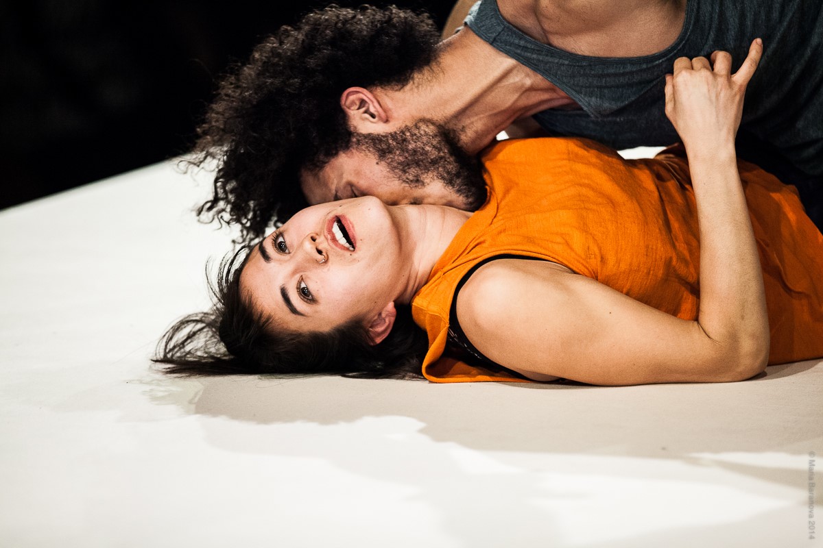 Φεστιβάλ Made in USA: 17 ημέρες, 11 παραστάσεις, 1 συμπόσιο στη Στέγη