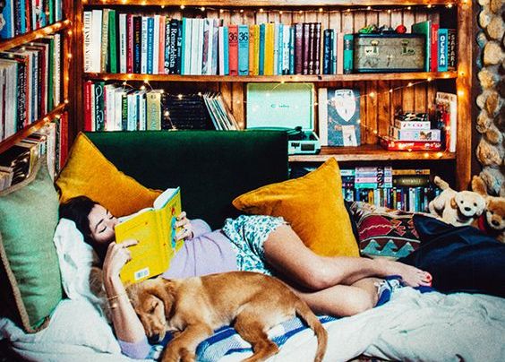 Η στιγμή που οι σπιτόγατοι δικαιώνονται