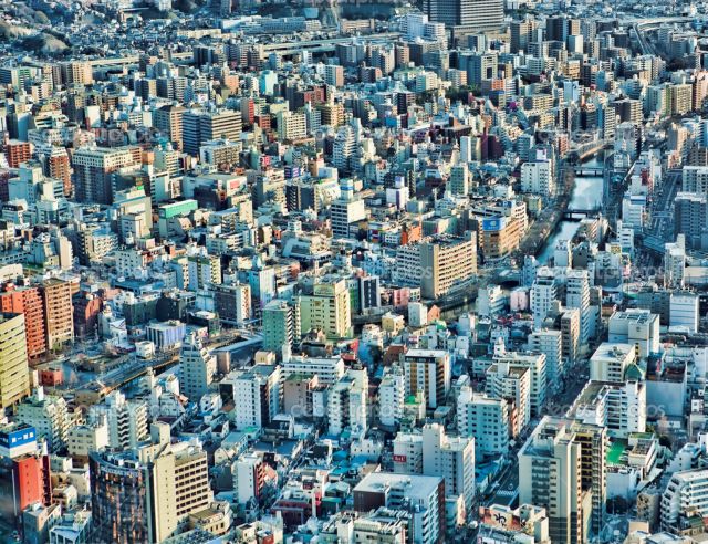 Οι τσιμεντένιες ζούγκλες απορροφούν ατμοσφαιρικό CO2