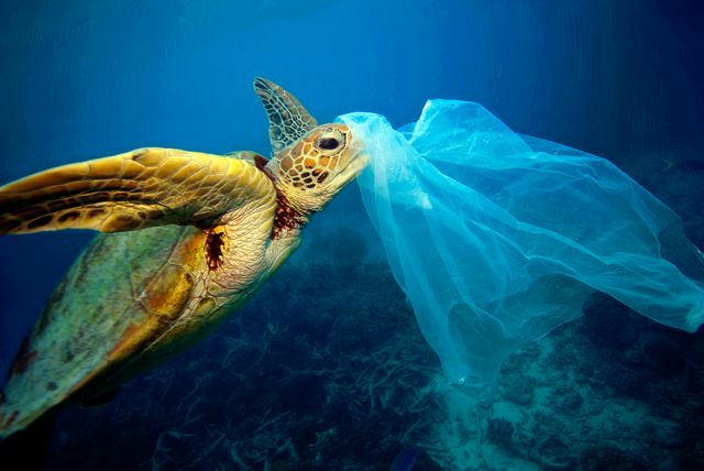 Βρετανία: Οι ακτές καθάρισαν μετά την επιβολή χρέωσης στην πλαστική σακούλα