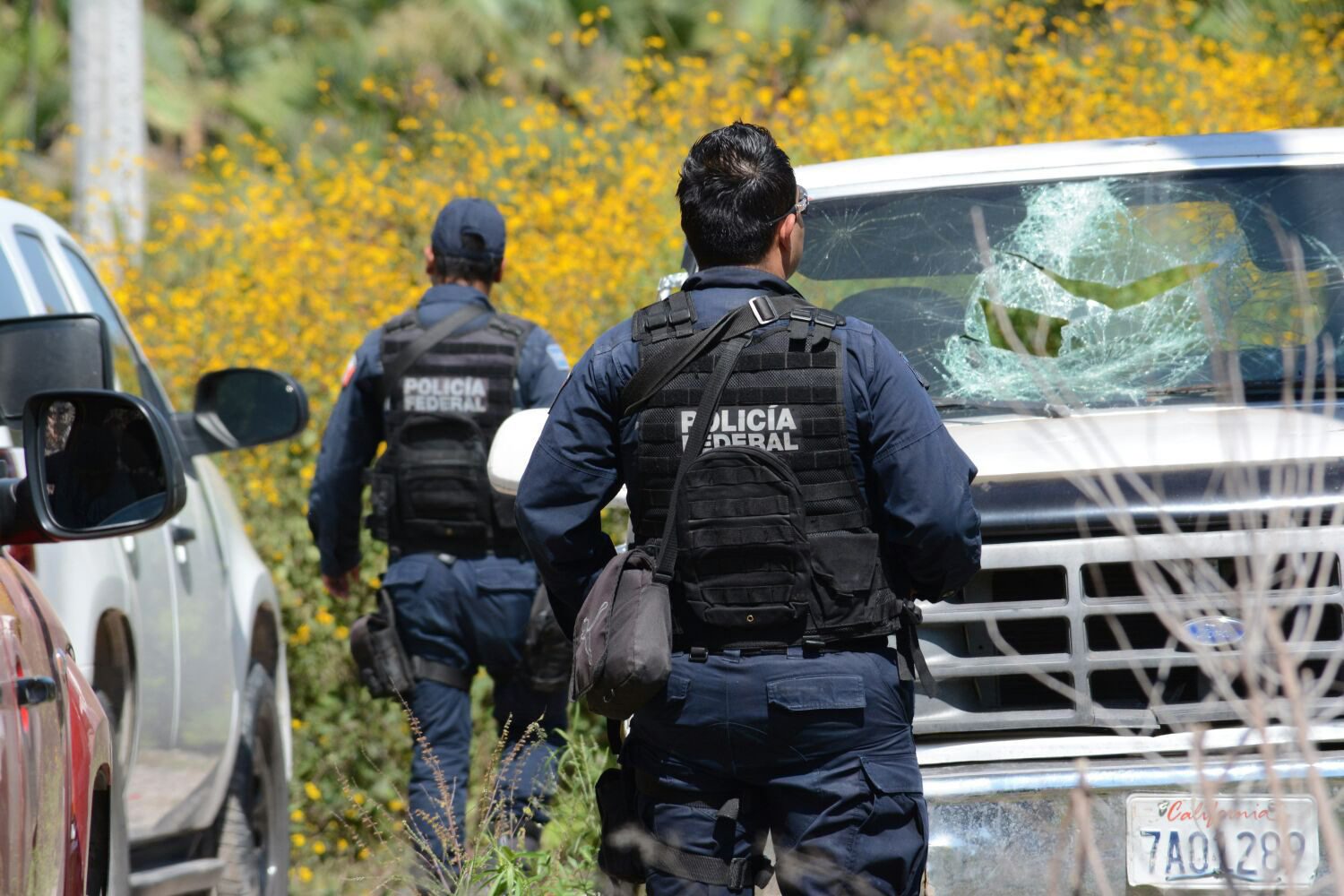 Μεξικό: Τουλάχιστον 14 νεκροί σε συμπλοκή καρτέλ με την αστυνομία