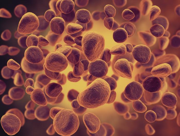 Θετική γνωμοδότηση για νέα θεραπεία της Χρόνιας Λεμφοκυτταρικής Λευχαιμίας