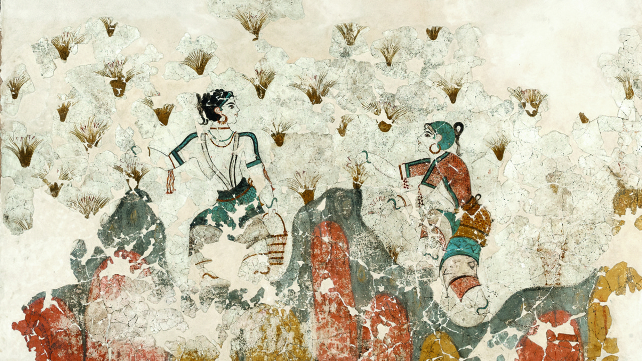 Οι αριστουργηματικές τοιχογραφίες από το Ακρωτήρι σε έναν τόμο