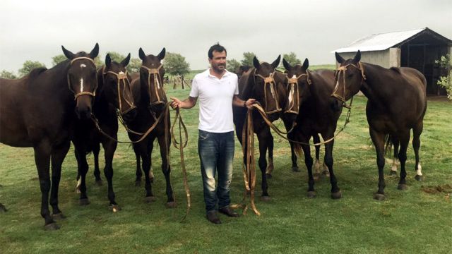 Κλωνοποιημένες φοράδες κάνουν σπουδαία καριέρα στο πόλο